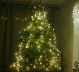 How to Decorate Your Slim Artificial Christmas Tree with Live Greenery and Plants