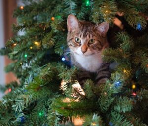 Choosing Ornaments & the Best Tree for a 12-Foot Ceiling